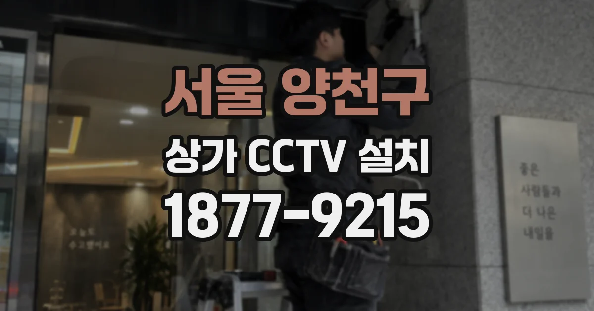 서울 양천구 상가 CCTV 설치
