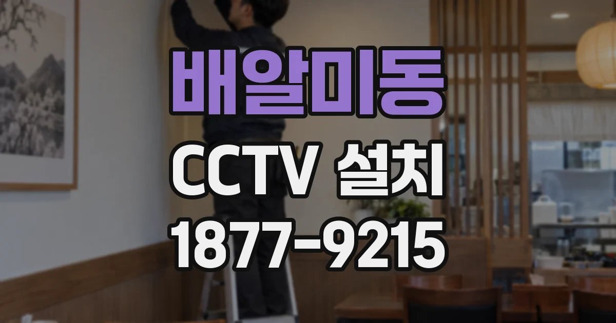 배알미동 CCTV 설치