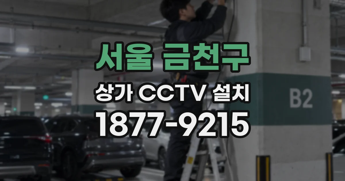 서울 금천구 상가 CCTV 설치