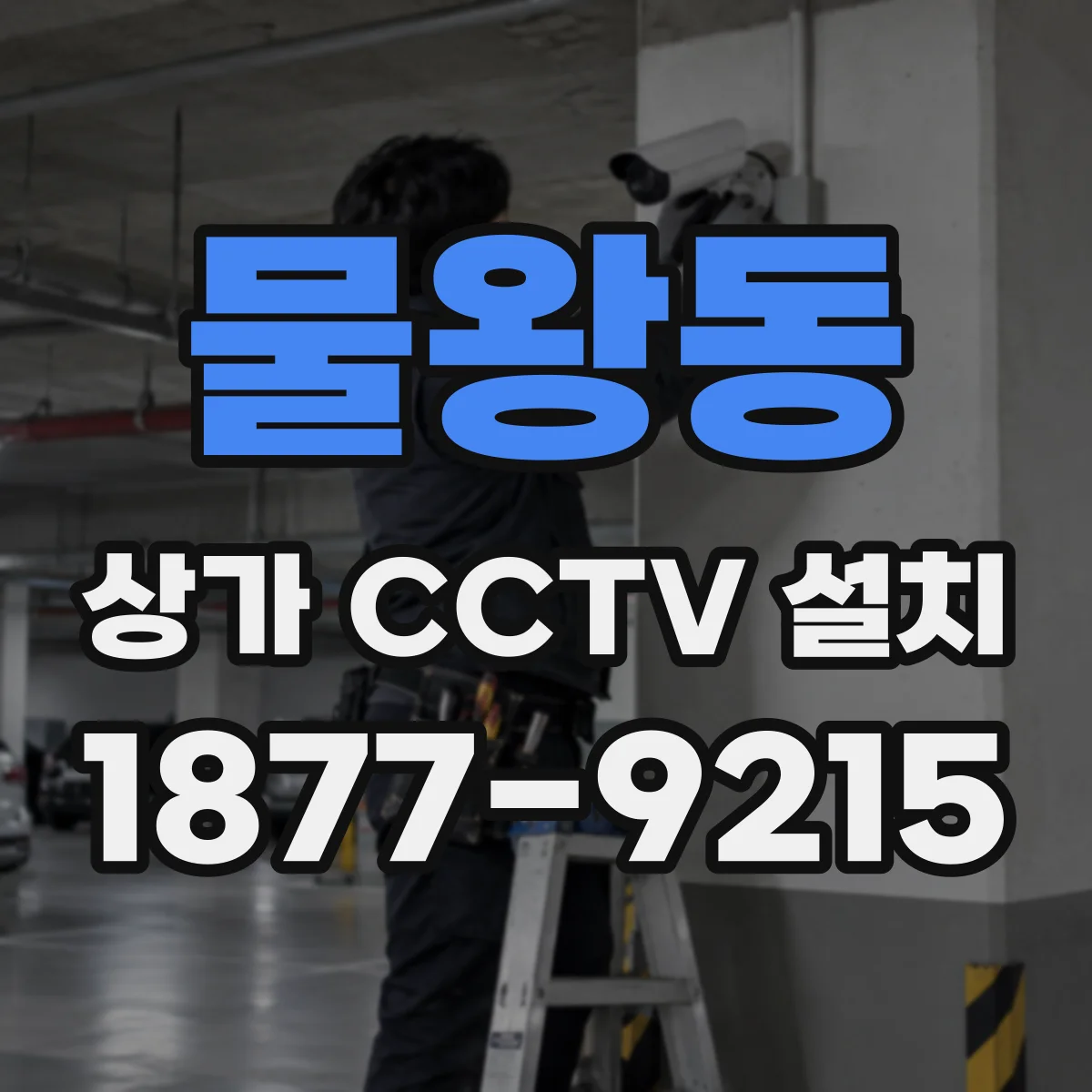 물왕동 상가 CCTV 설치