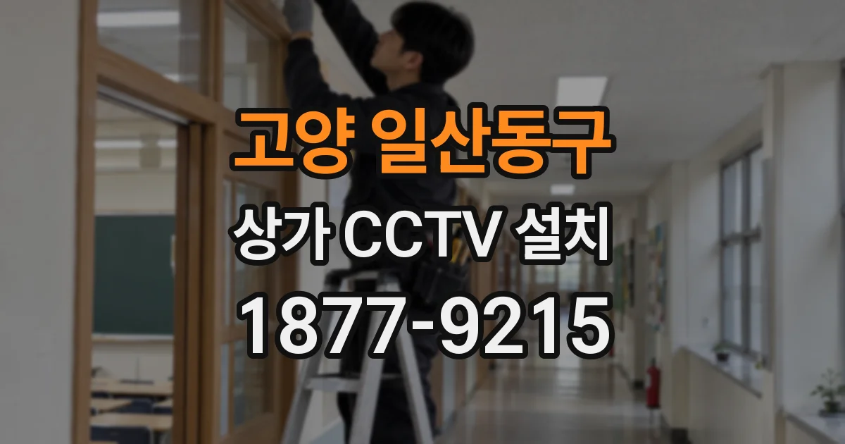 고양 일산동구 상가 CCTV 설치
