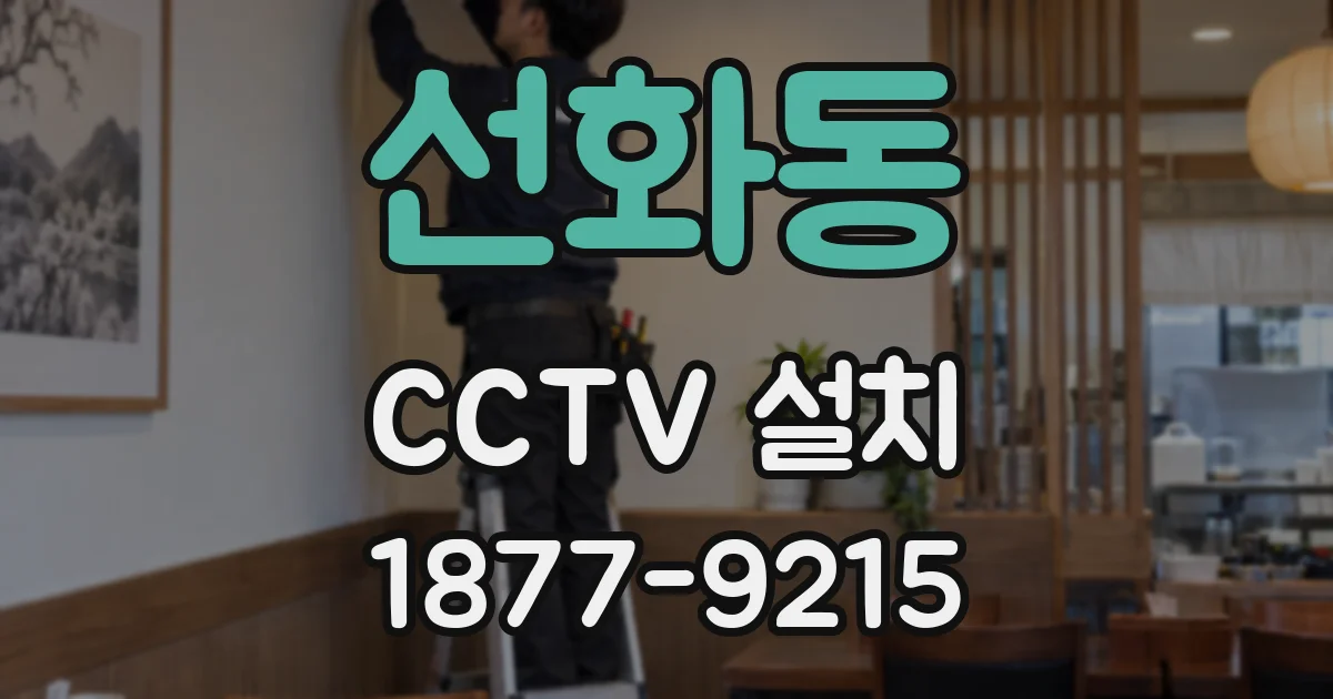 선화동 CCTV 설치