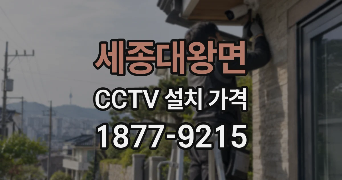 세종대왕면 CCTV 설치 가격