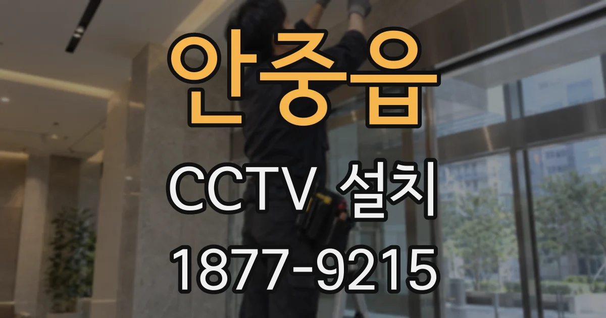 안중읍 CCTV 설치