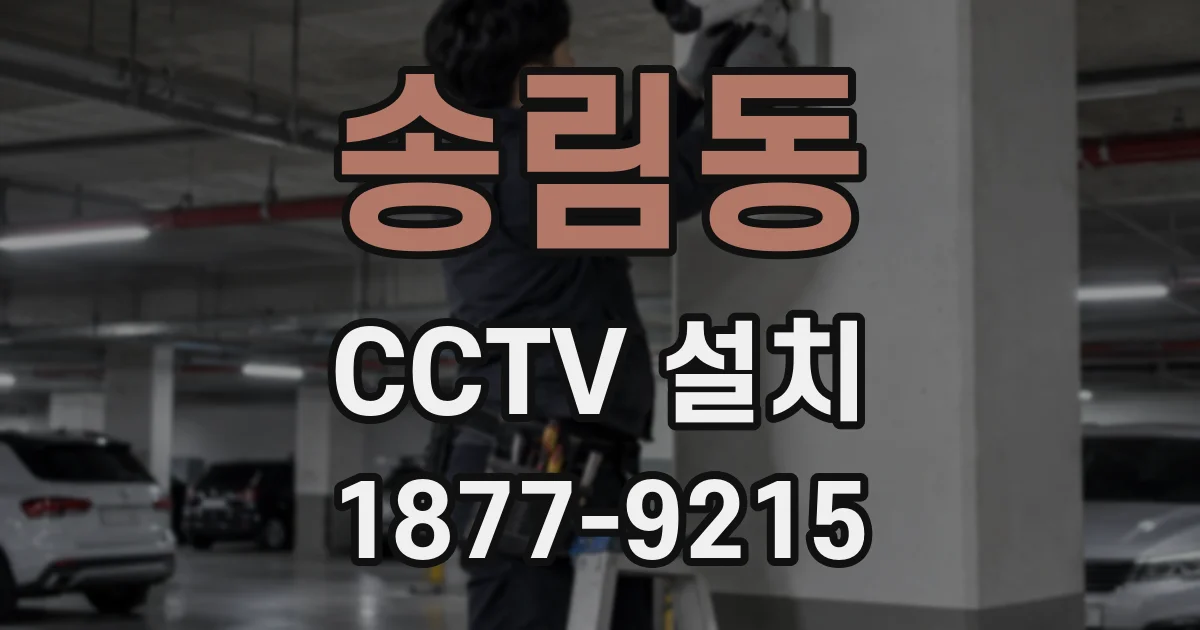 송림동 CCTV 설치