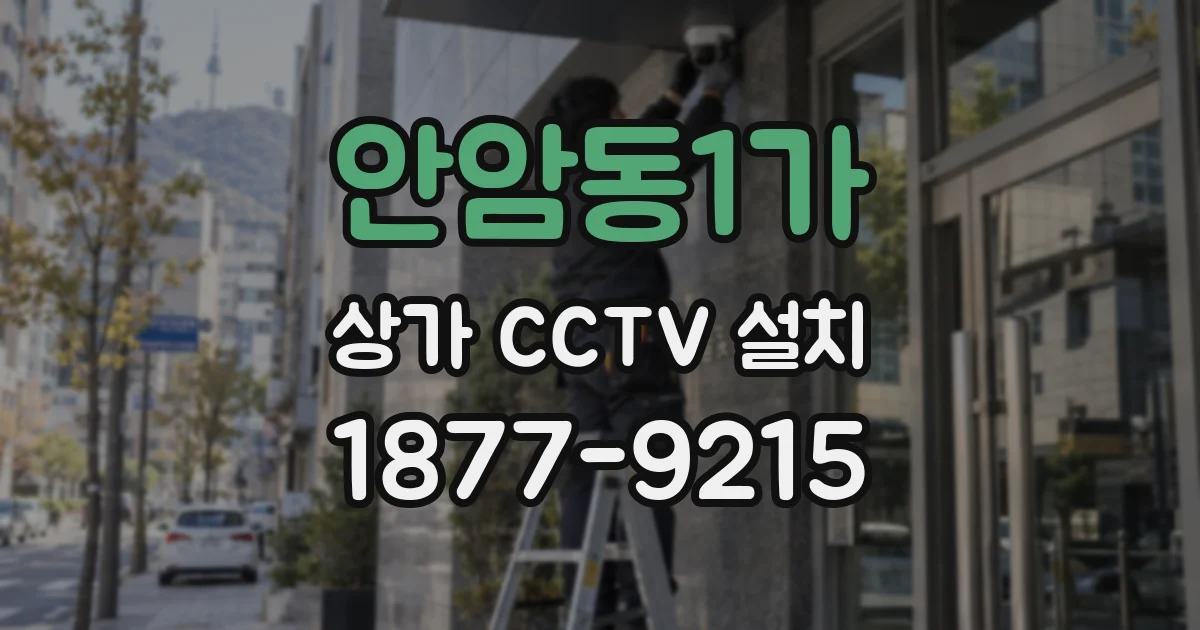 안암동1가 상가 CCTV 설치