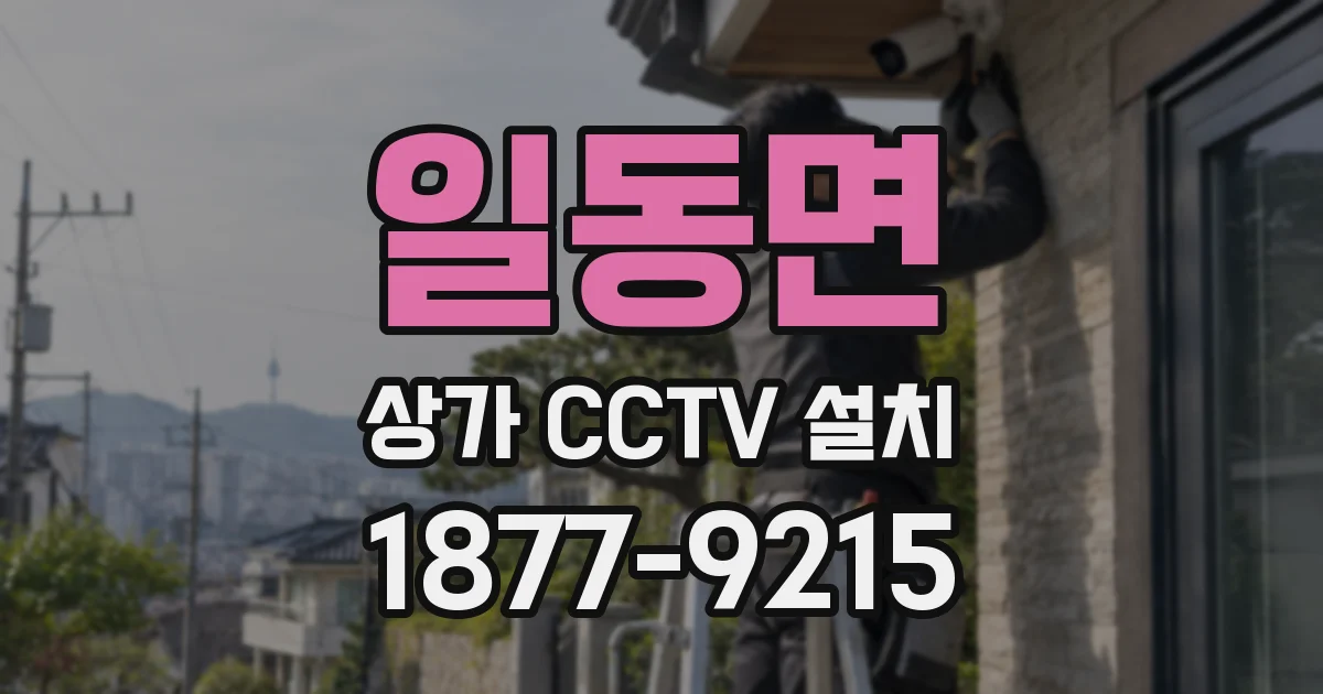 일동면 상가 CCTV 설치
