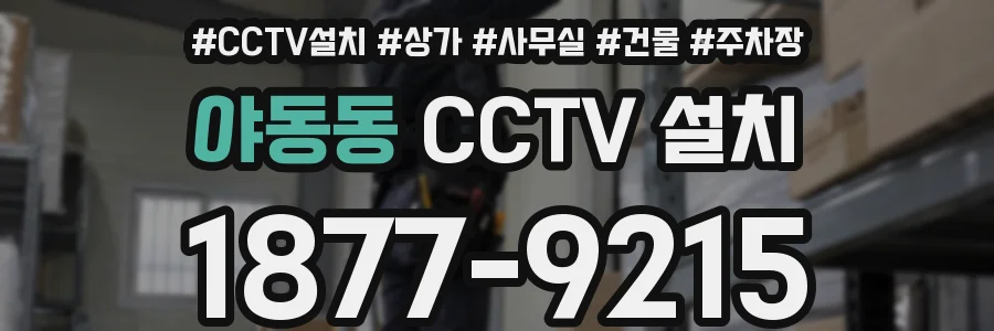 야동동 CCTV 설치