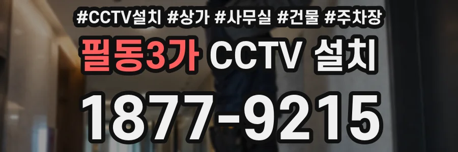 필동3가 CCTV 설치