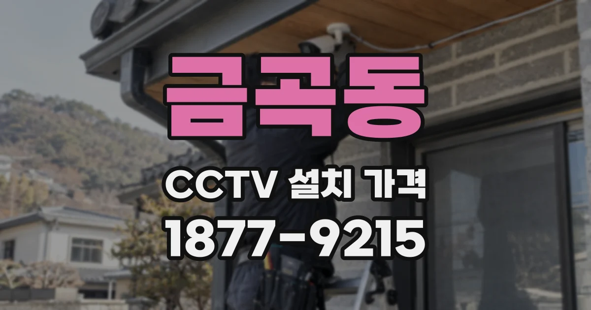 금곡동 CCTV 설치 가격