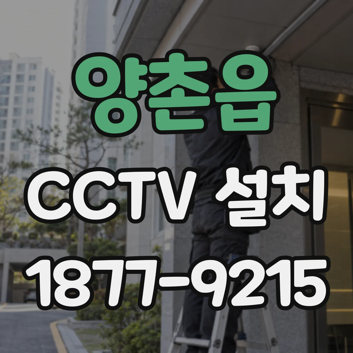 양촌읍 CCTV 설치