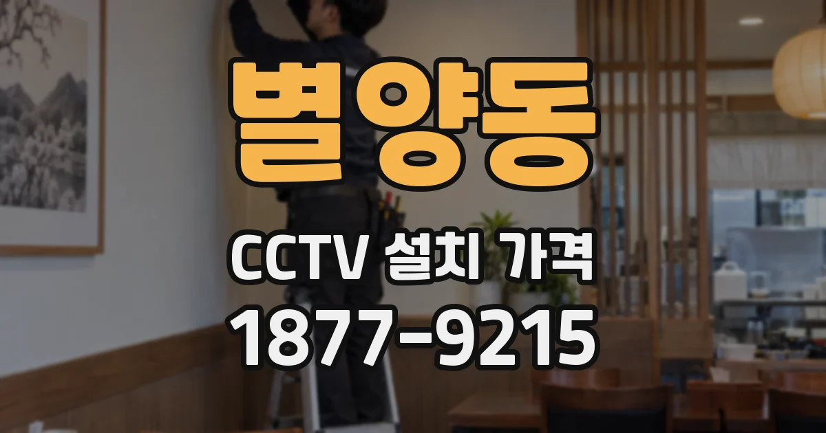 별양동 CCTV 설치 가격