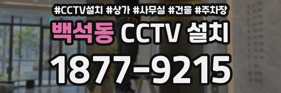 백석동 CCTV 설치
