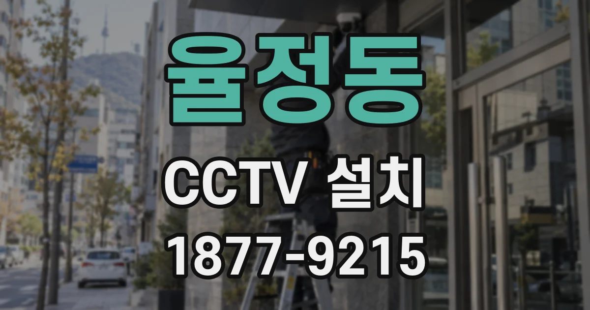 율정동 CCTV 설치