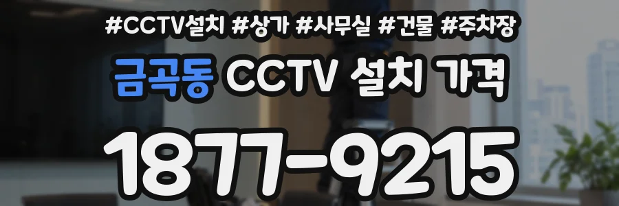 금곡동 CCTV 설치 가격