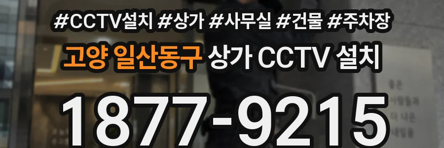 고양 일산동구 상가 CCTV 설치