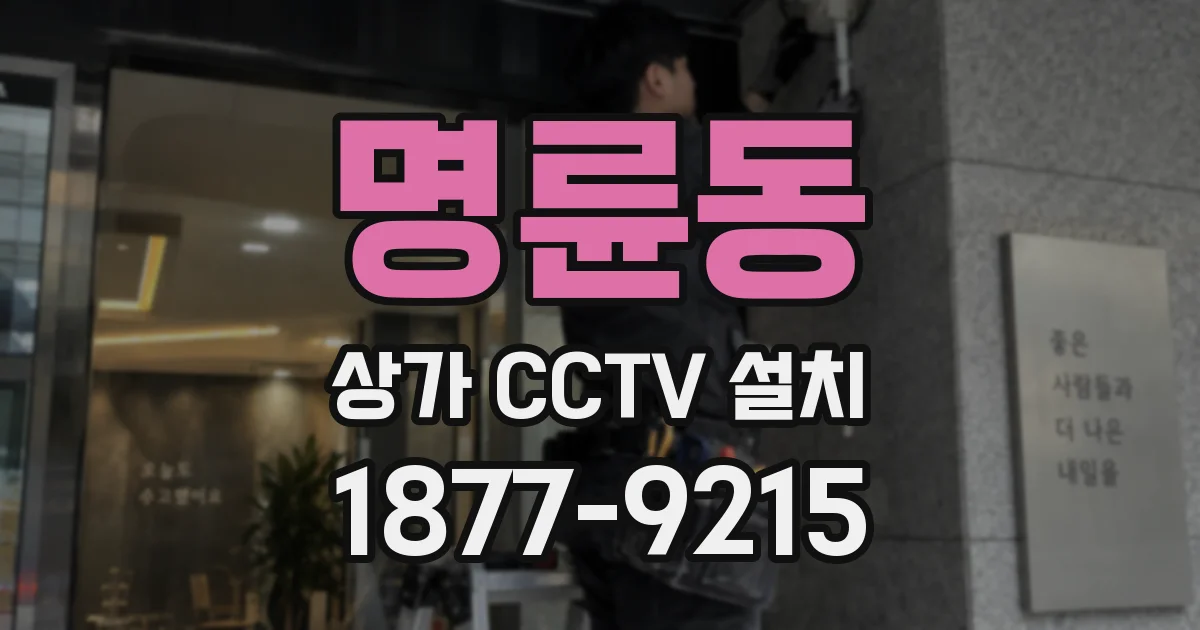 명륜동 상가 CCTV 설치