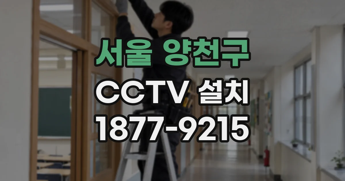 서울 양천구 CCTV 설치