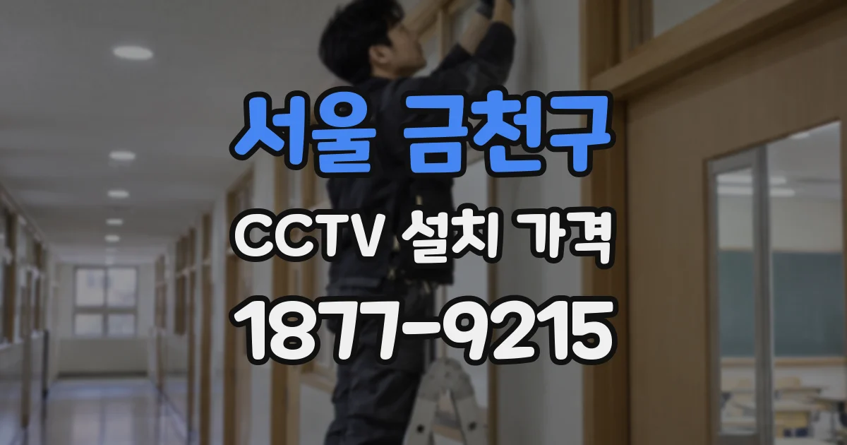 서울 금천구 CCTV 설치 가격