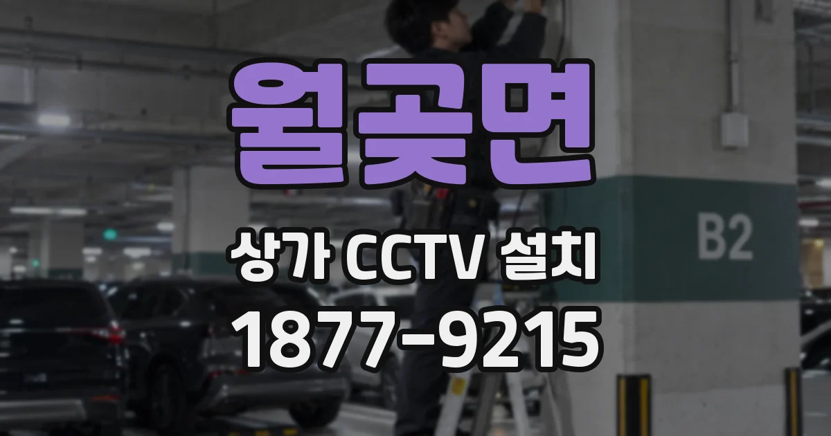 월곶면 상가 CCTV 설치