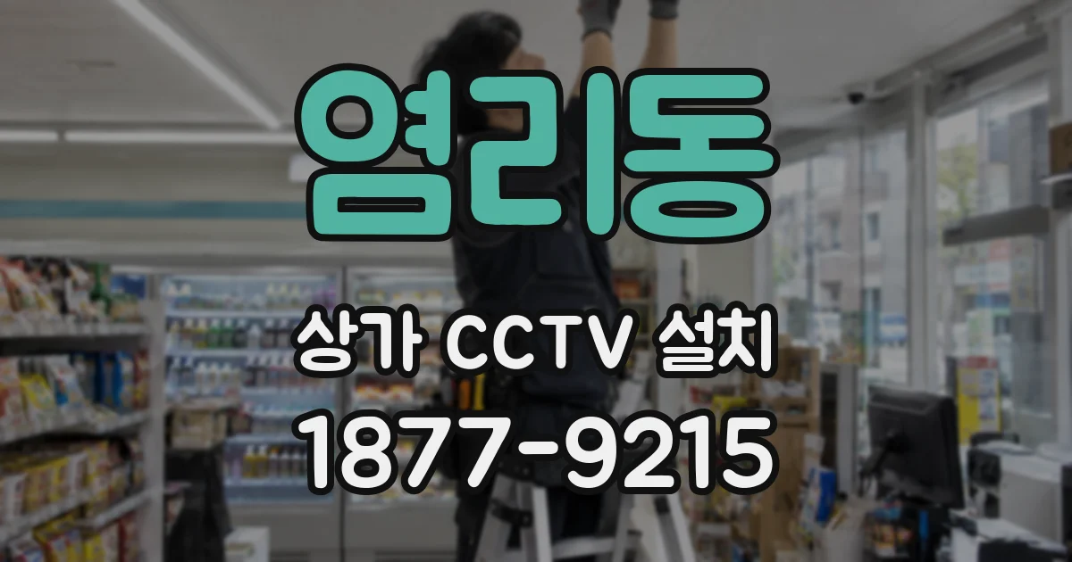 염리동 상가 CCTV 설치