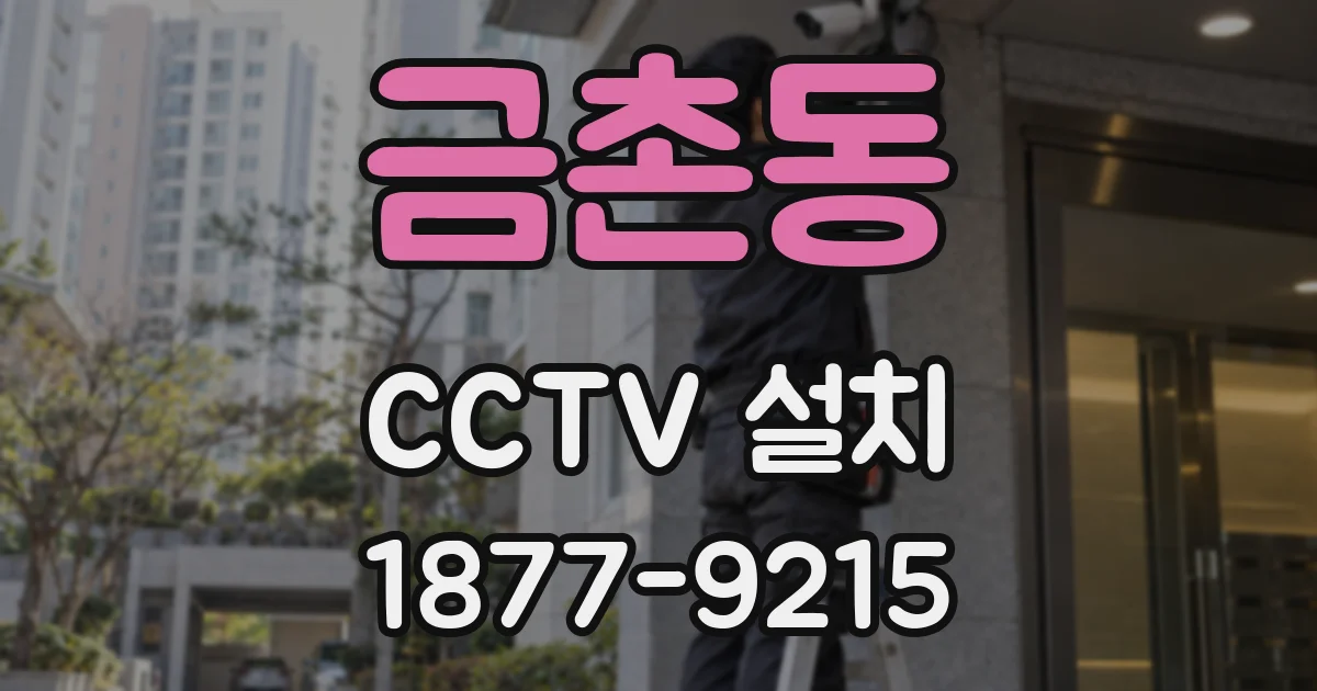 금촌동 CCTV 설치