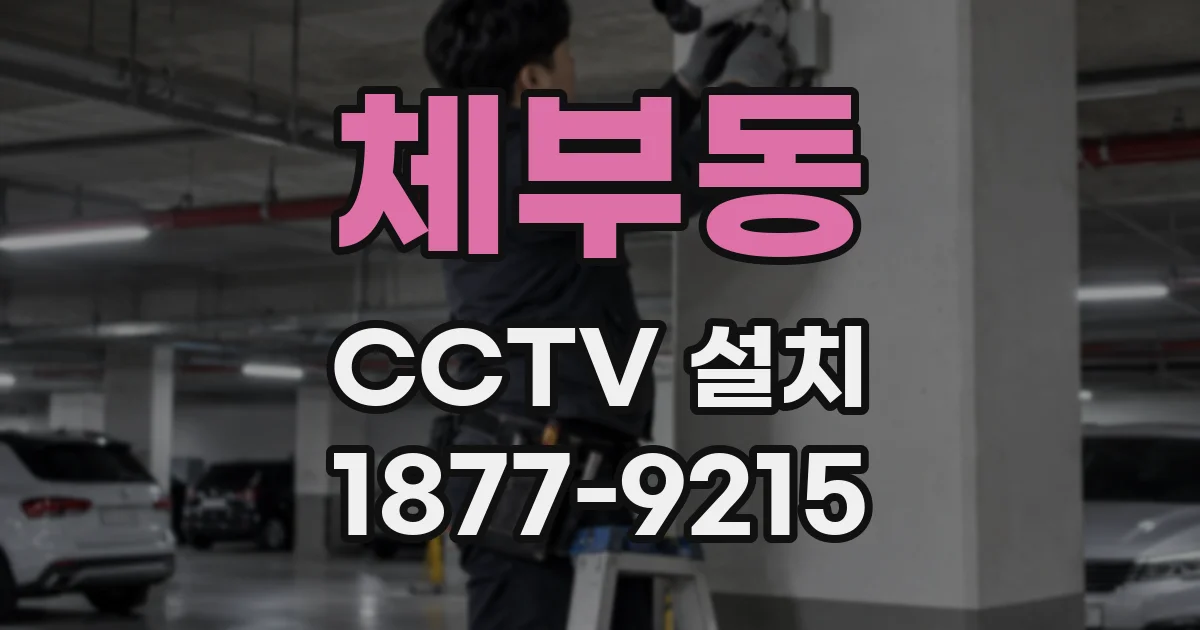 체부동 CCTV 설치
