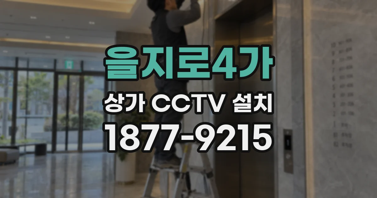 을지로4가 상가 CCTV 설치