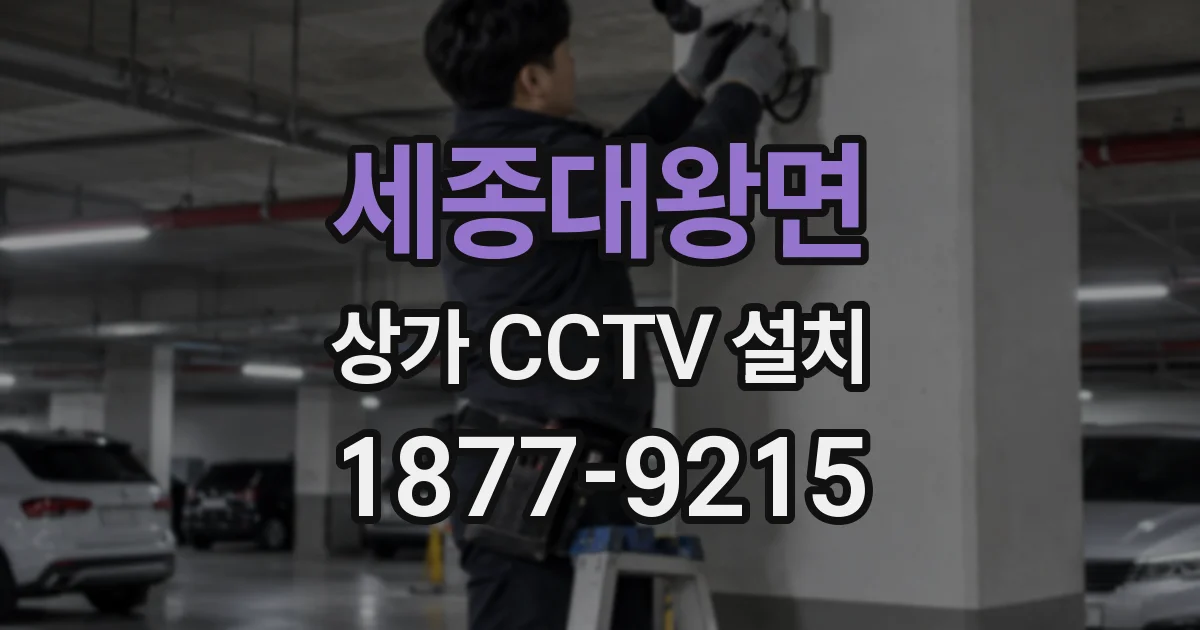 세종대왕면 상가 CCTV 설치