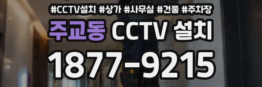 주교동 CCTV 설치