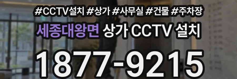 세종대왕면 상가 CCTV 설치