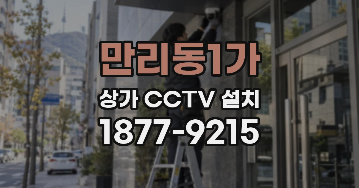 만리동1가 상가 CCTV 설치