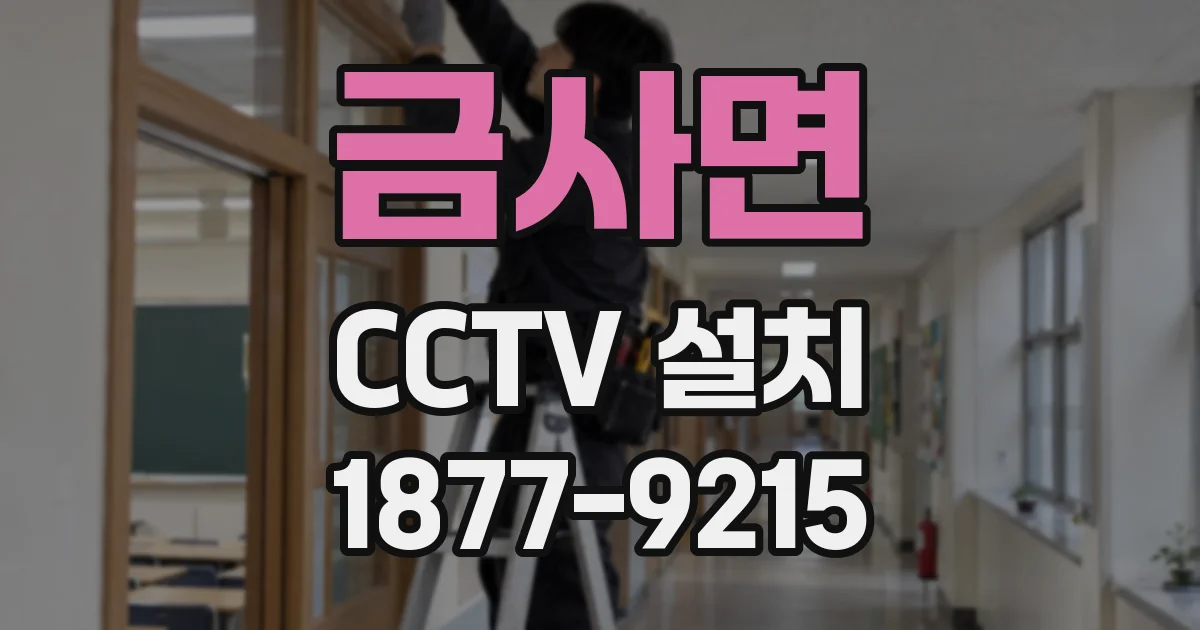 금사면 CCTV 설치
