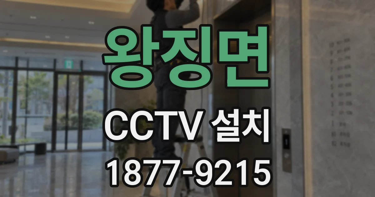 왕징면 CCTV 설치