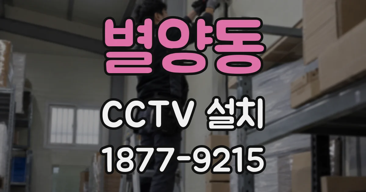 별양동 CCTV 설치