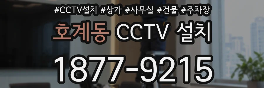 호계동 CCTV 설치