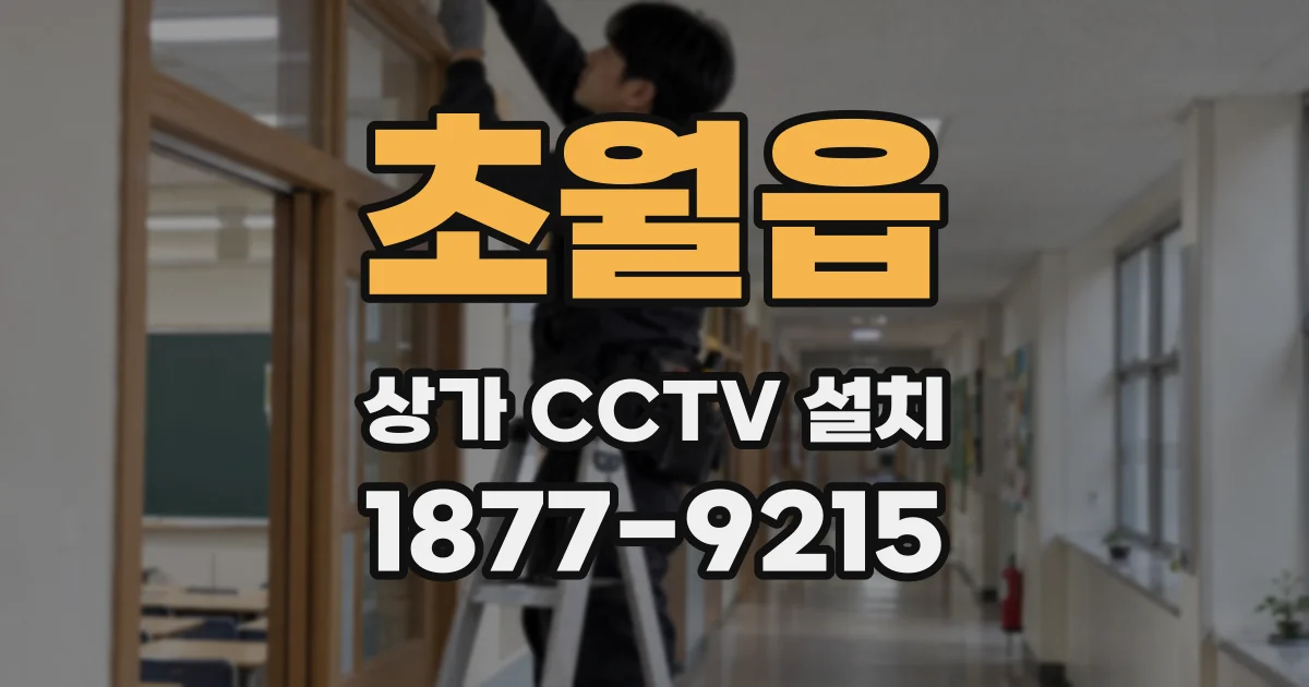 초월읍 상가 CCTV 설치