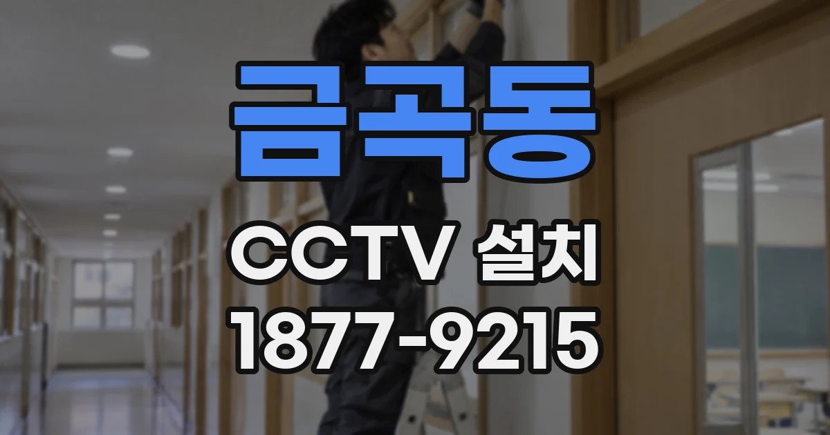 금곡동 CCTV 설치