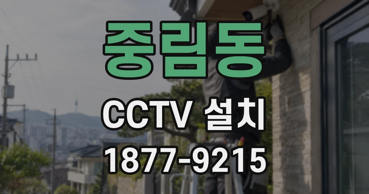 중림동 CCTV 설치