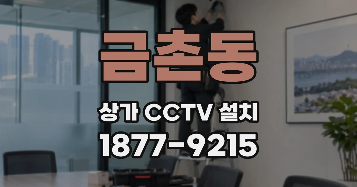금촌동 상가 CCTV 설치