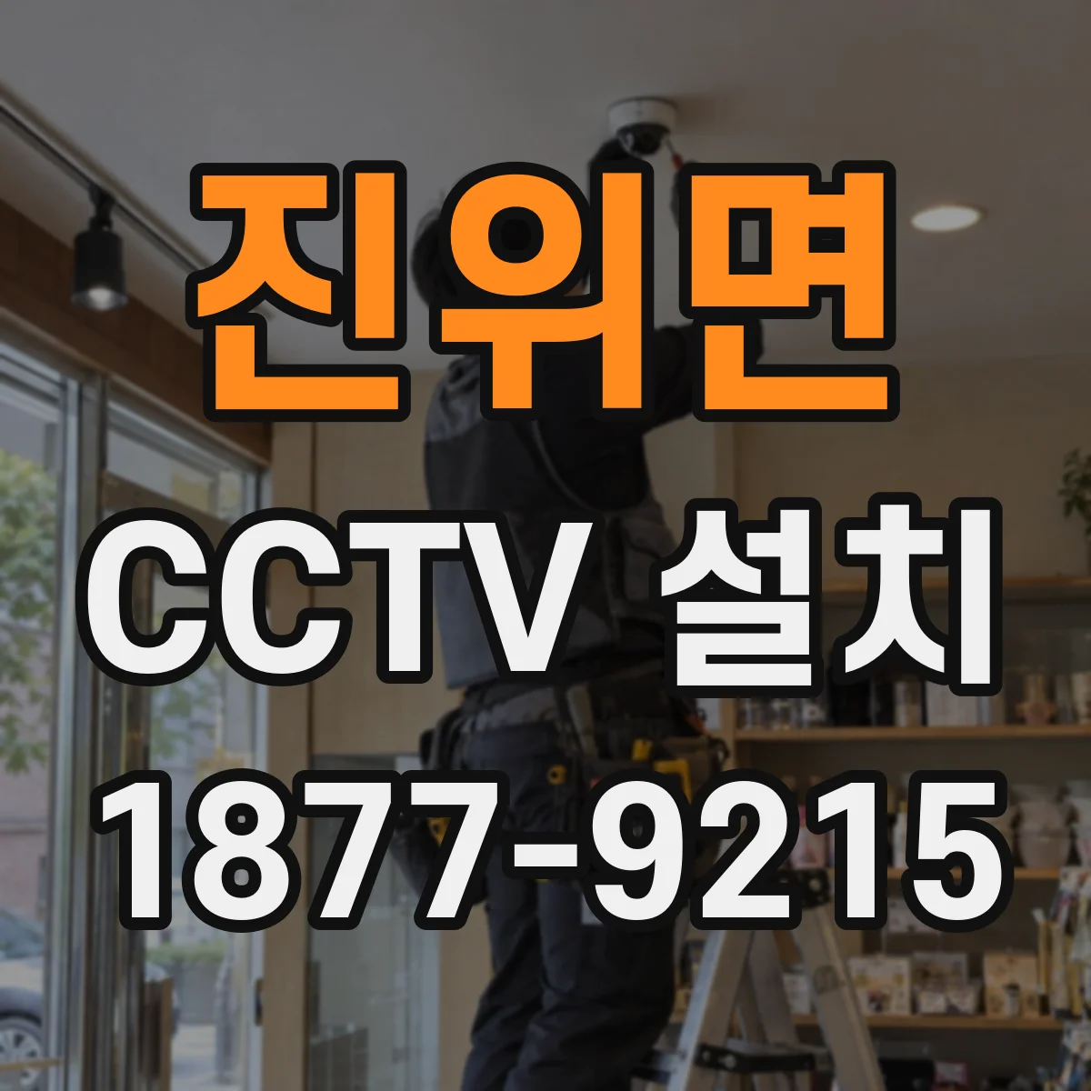 진위면 CCTV 설치