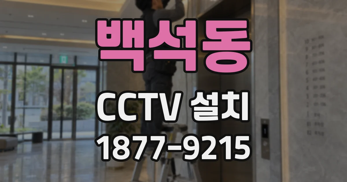 백석동 CCTV 설치