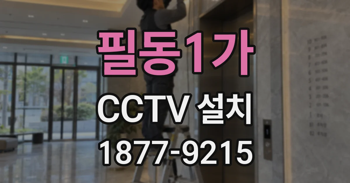 필동1가 CCTV 설치