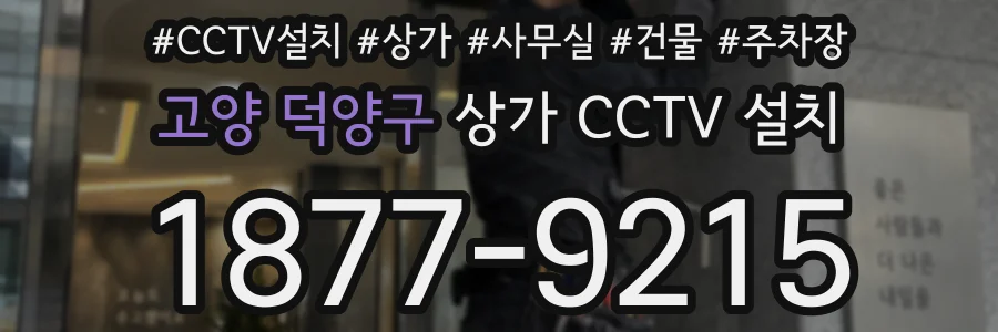 고양 덕양구 상가 CCTV 설치
