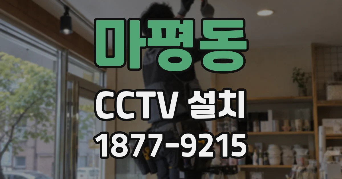 마평동 CCTV 설치