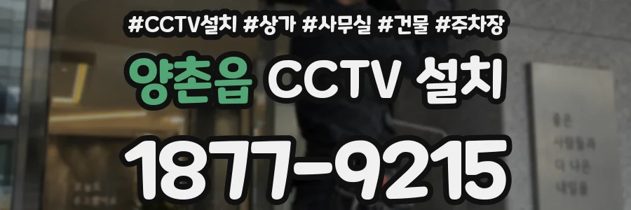 양촌읍 CCTV 설치