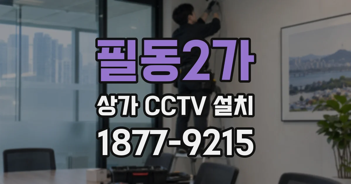 필동2가 상가 CCTV 설치