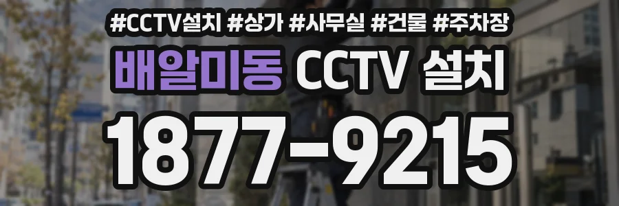 배알미동 CCTV 설치
