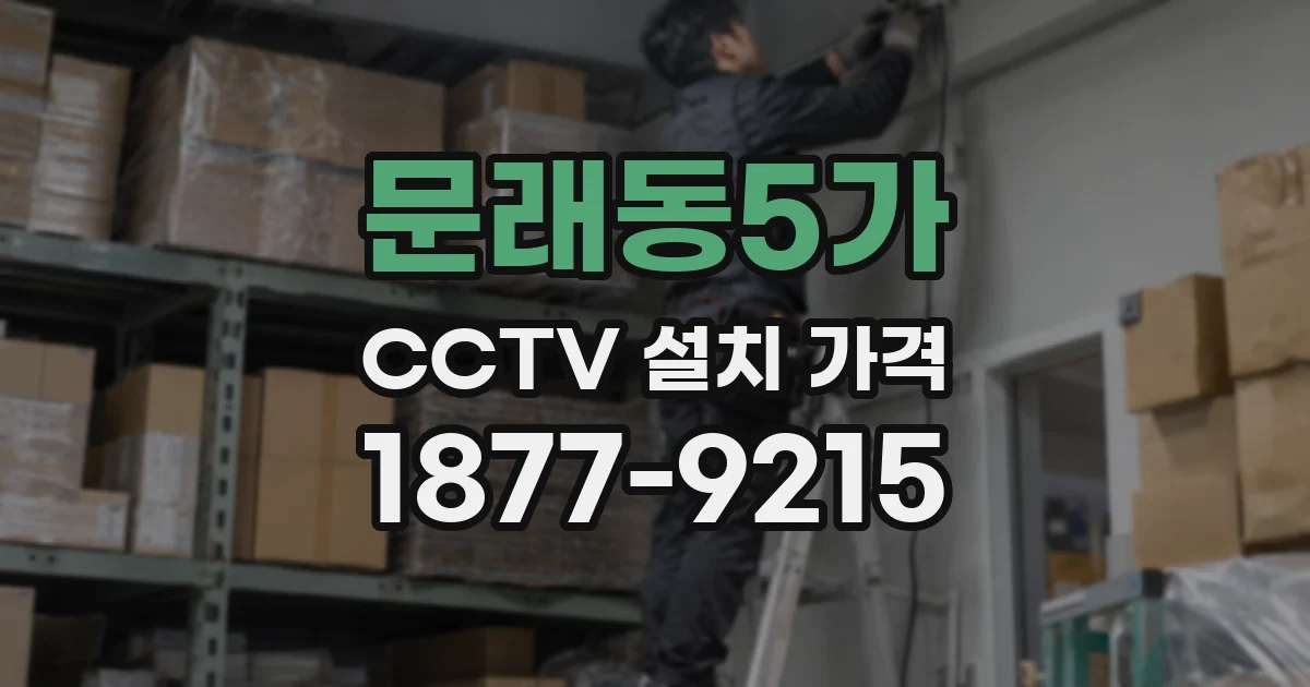 문래동5가 CCTV 설치 가격