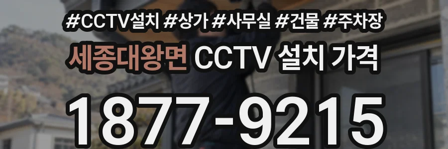 세종대왕면 CCTV 설치 가격